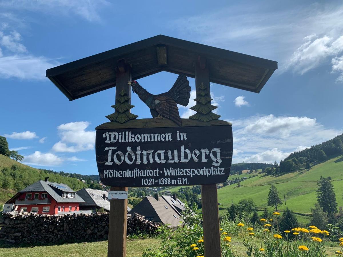 Residenz Schauinsland Todtnauberg - Fewo 17 - Sauna - Spielzimmer Fuer Kinder - Naehe Feldberg Екстериор снимка