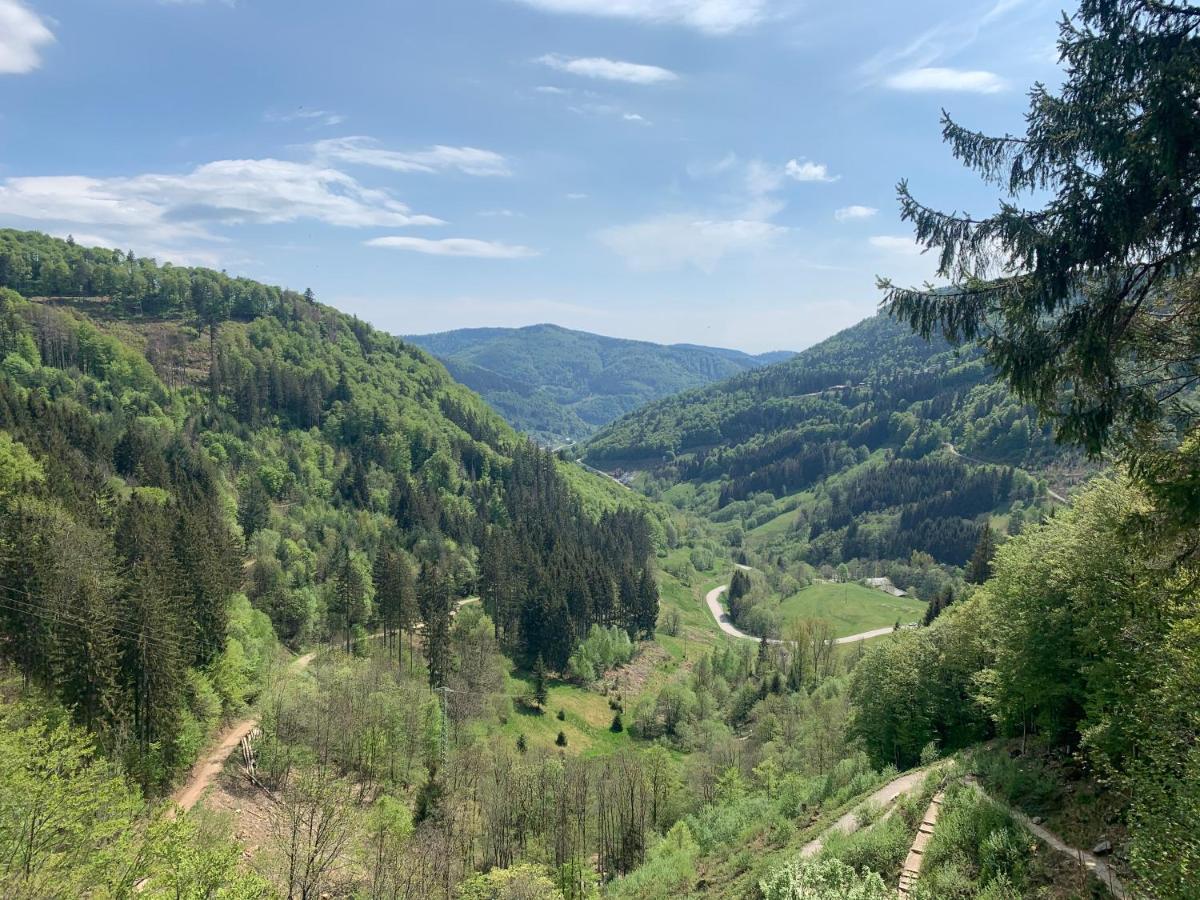 Residenz Schauinsland Todtnauberg - Fewo 17 - Sauna - Spielzimmer Fuer Kinder - Naehe Feldberg Екстериор снимка