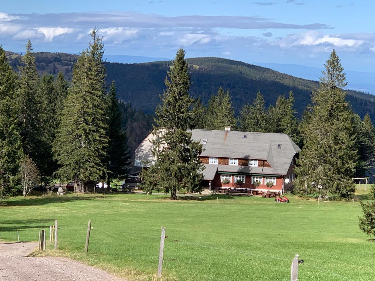 Residenz Schauinsland Todtnauberg - Fewo 17 - Sauna - Spielzimmer Fuer Kinder - Naehe Feldberg Екстериор снимка