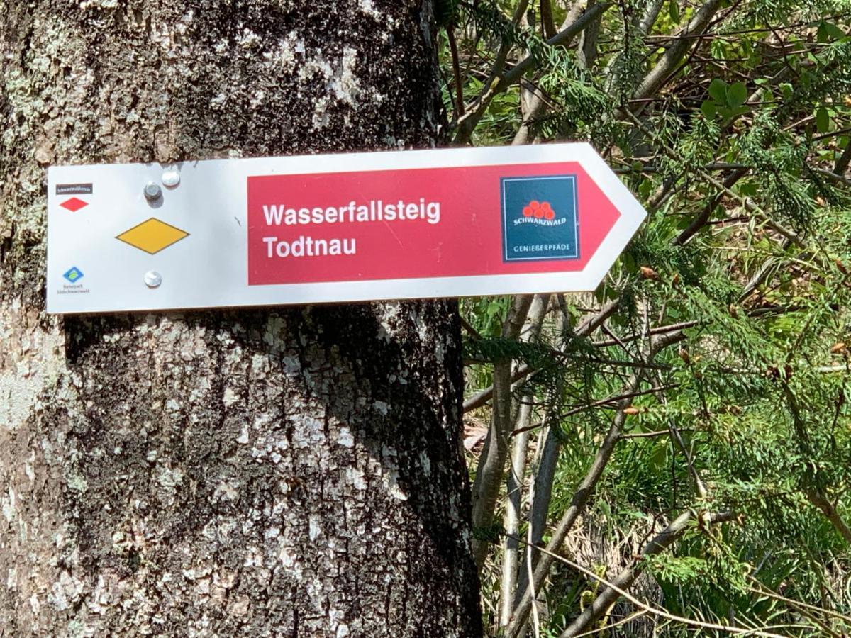 Residenz Schauinsland Todtnauberg - Fewo 17 - Sauna - Spielzimmer Fuer Kinder - Naehe Feldberg Екстериор снимка